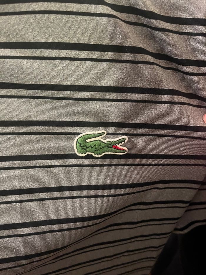 tee shirt lacoste à rayures - photo numéro 4