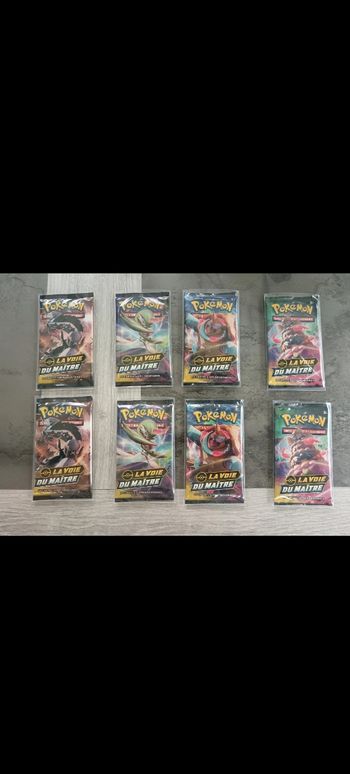 Artset Booster Pokemon La Voie du maître
