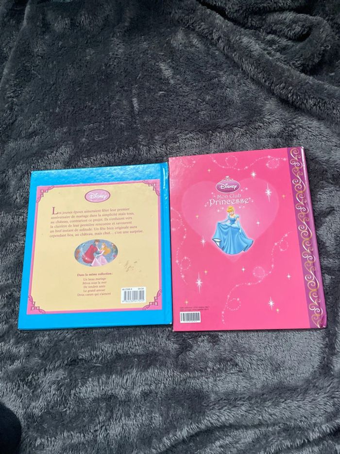 Lot de deux livres la belle au bois dormant +cendrillon - photo numéro 2