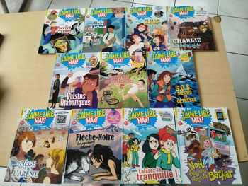 lot de 11 "J'aime lire max" 2019