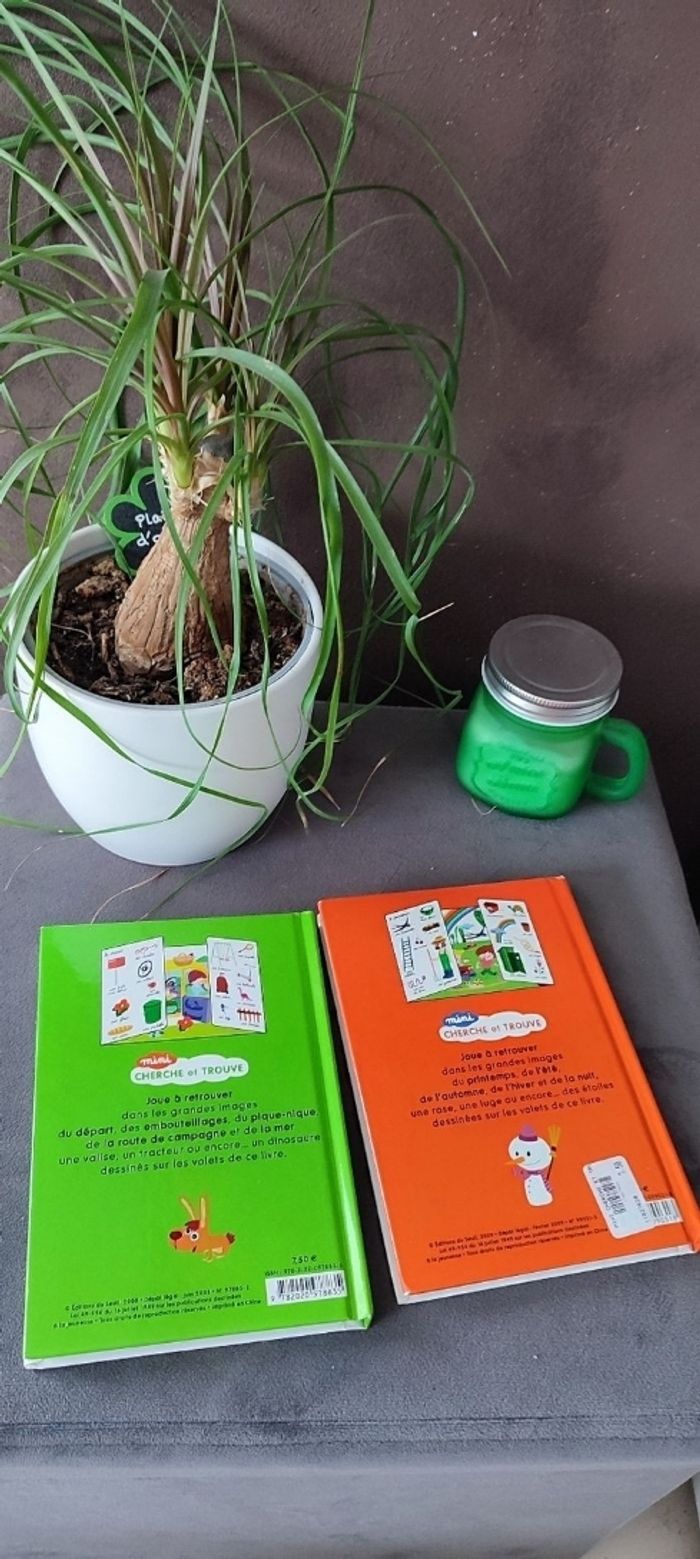 Lot 2 livres cherche et trouve - photo numéro 2