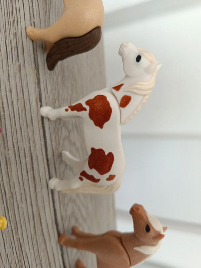 3 poulains playmobil cheval horses - photo numéro 3