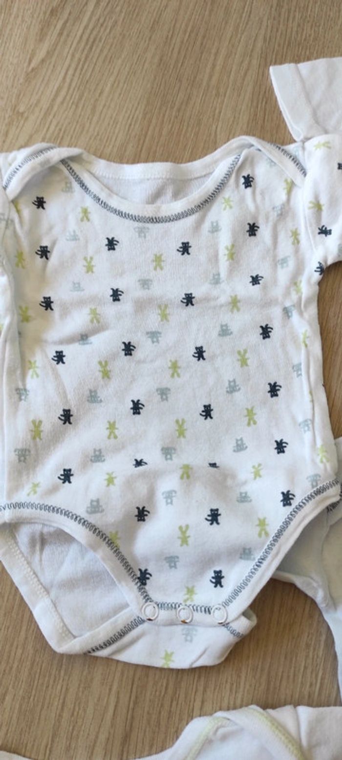 Lot bodies 6 mois - photo numéro 3