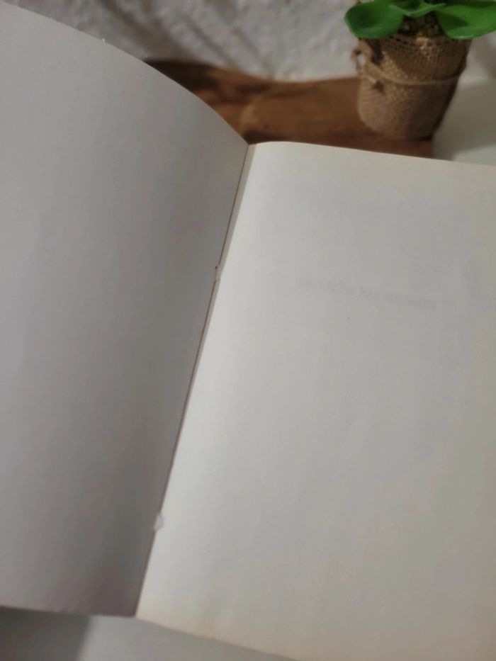 * Livre roman "Ne lâche pas ma main" de Michel Bussi - photo numéro 6