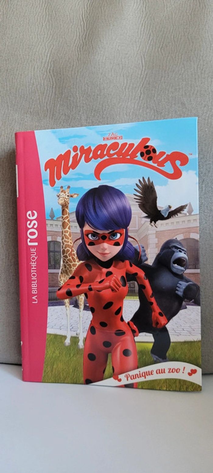 Lot 4 livres Miraculous - photo numéro 6