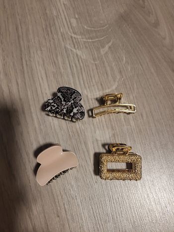 Barrette pince femme ou fille le lot de 4