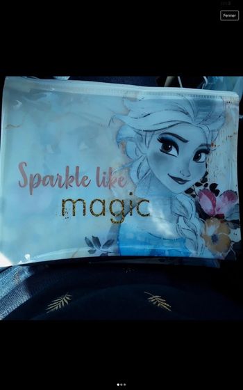 Trousse à crayons neuve Disney taille A5 - reine des neiges /frozen