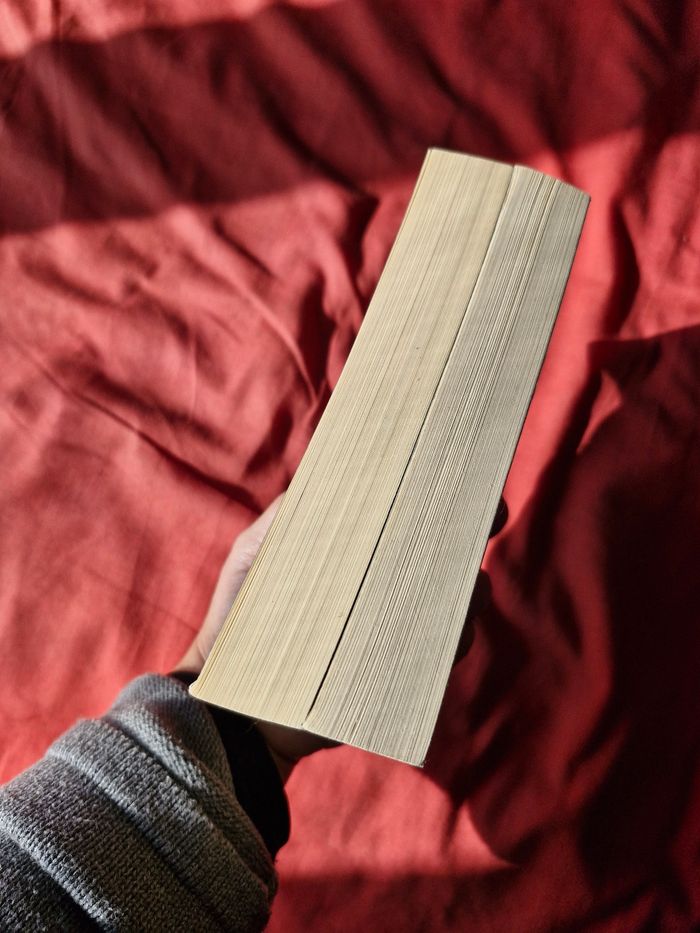Intégrale Saga Marquer les ombres Best Seller - photo numéro 7