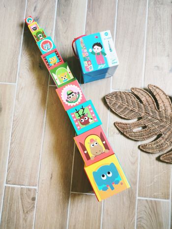 🐷Cubes gigognes à empiler avec chiffres, formes, Animaux.. marque Djeco