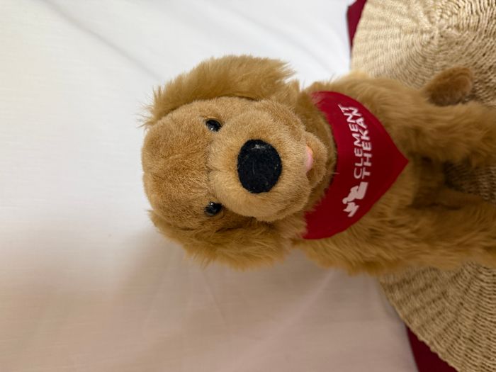 klement tekan golden retriever - chien en peluche