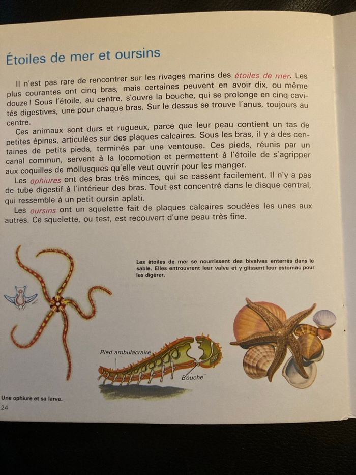 Livre « pour comprendre » - photo numéro 4