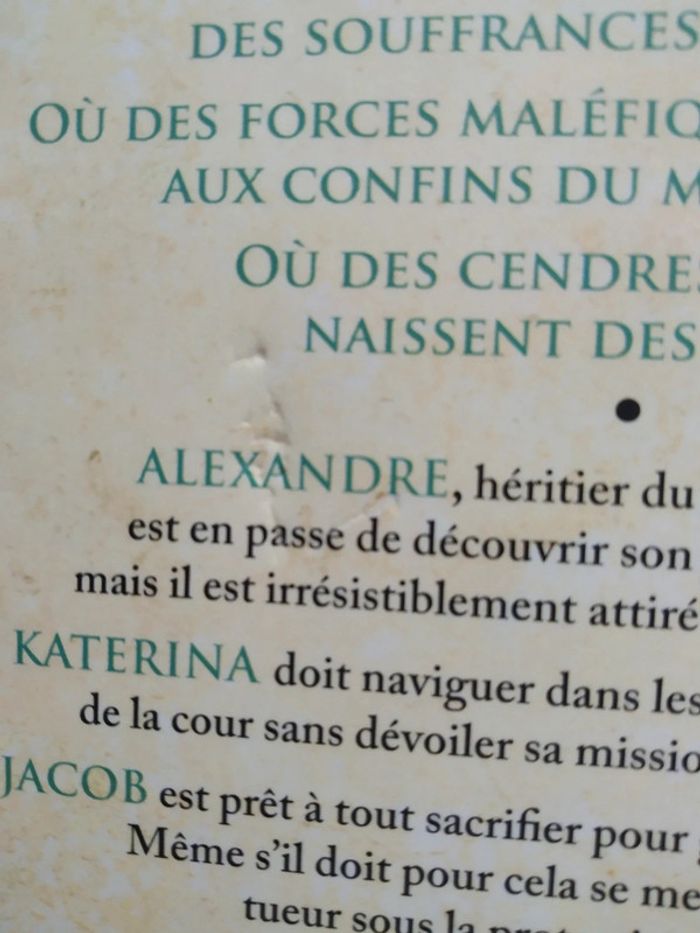 Le sang des dieux et des rois livre 1 - photo numéro 3