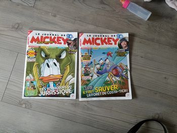 Livre Mickey
