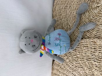 RICHARD LANG DOUDOU CHAT GRIS CORPS BLEU