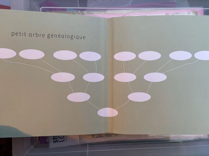 L'Album de Bébé "Edition Flammarion" - photo numéro 7