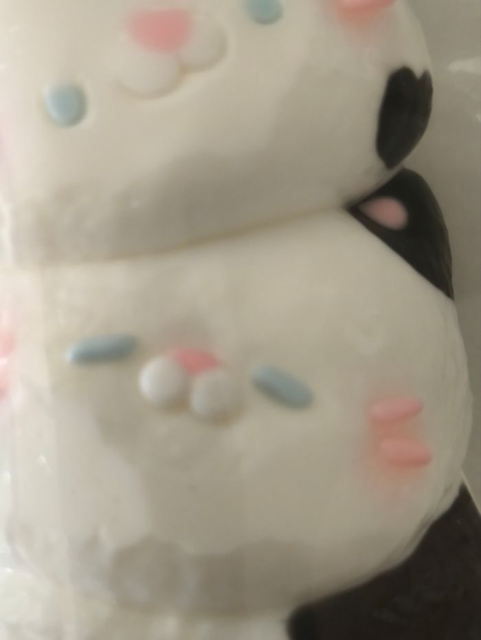 Squishy chats - photo numéro 5