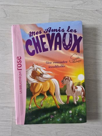 Livre mes amis les chevaux