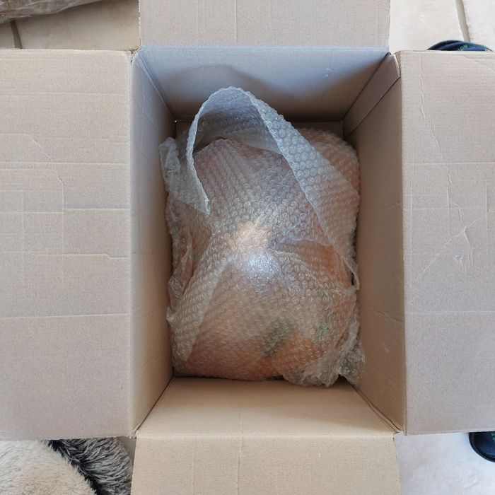 Playmobil Sphinx  reference 4242 - photo numéro 3