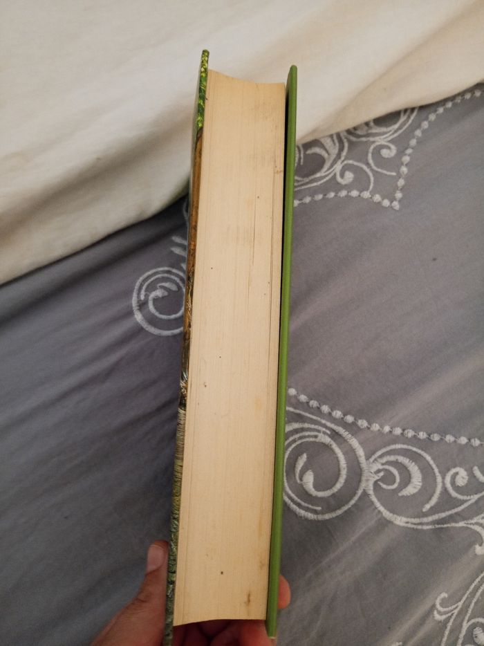 Livre (11) 📚 Retour au pays bleu - photo numéro 4