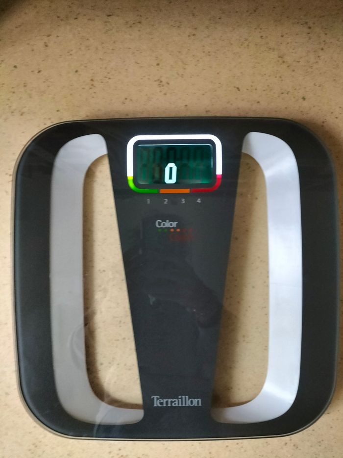 Balance terraillon - photo numéro 2