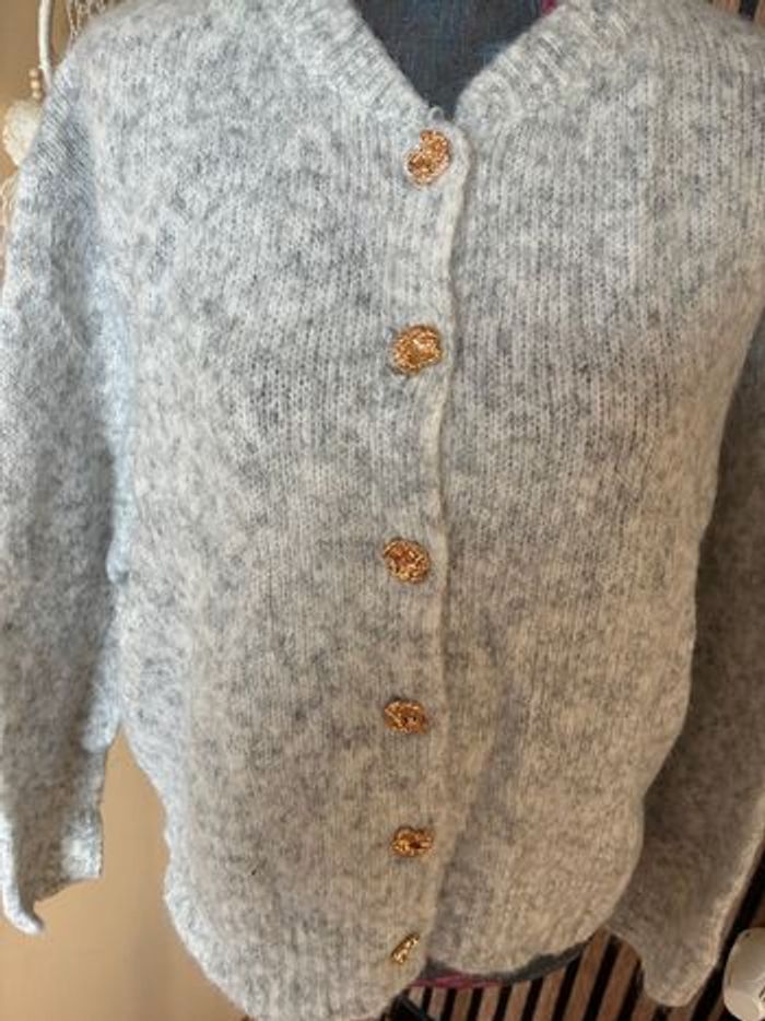 Jolie gilet gris - photo numéro 5