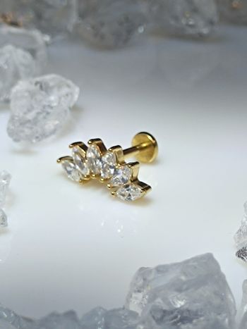 Piercing Helix bijoux oreille tragus conch lob multi strass blanc couleur doré six orelha oor ear