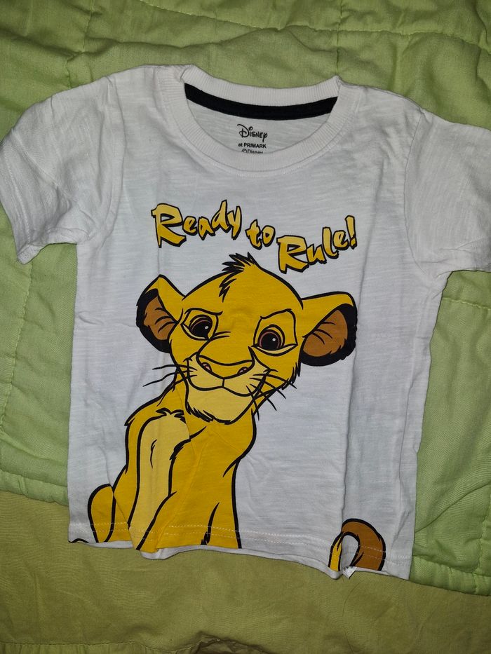 Lot ensemble roi lion - photo numéro 5