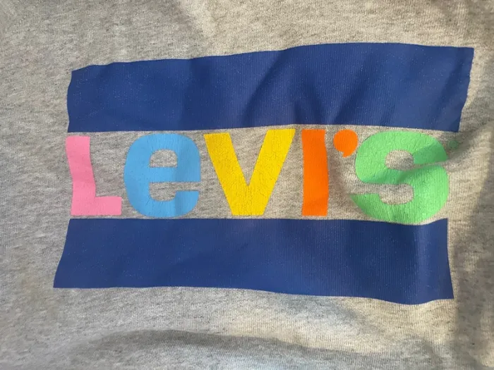 Sweat à capuche Levi’s - photo numéro 3
