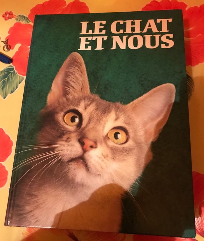 Le chat et nous