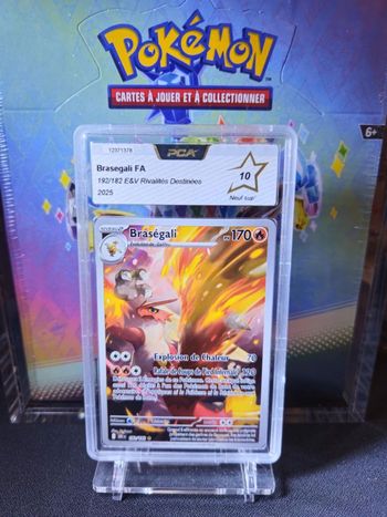 Brasegali FA - PCA 10 Mint - IR