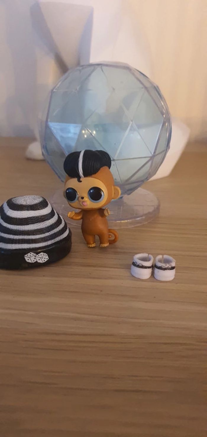 Lol tough Monkey - photo numéro 3