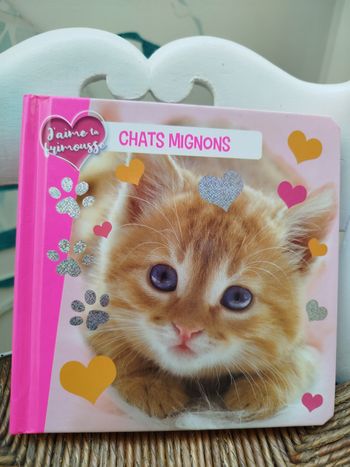 Chats Mignons 