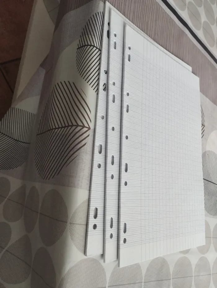 Lot feuilles doubles grands carreaux - photo numéro 2