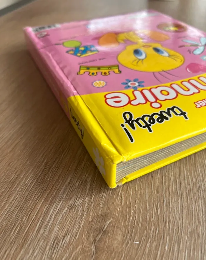 Mon premier dictionnaire - photo numéro 15