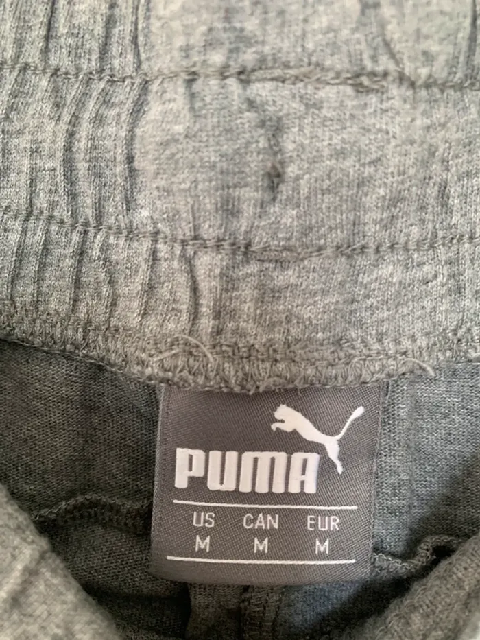 Short puma - photo numéro 3