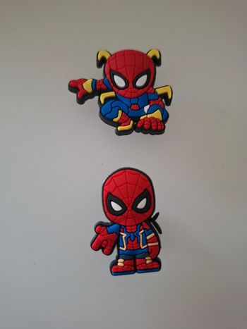 Lot de 2 charms