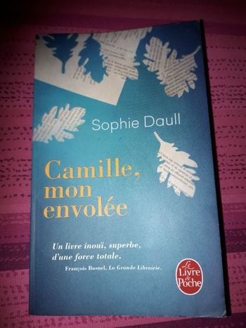 Livre de Sophie Daull Camille mon envolée