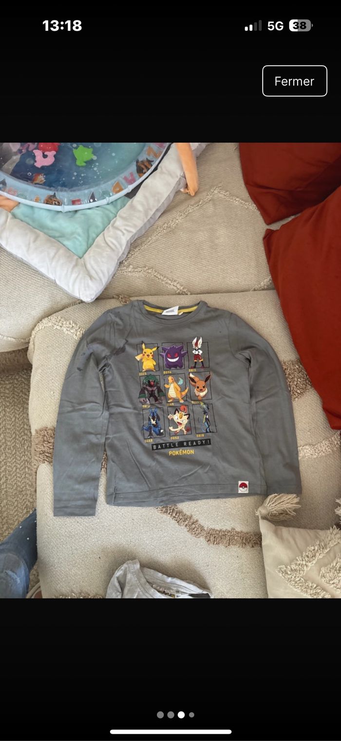 Pull Pokémon - photo numéro 3