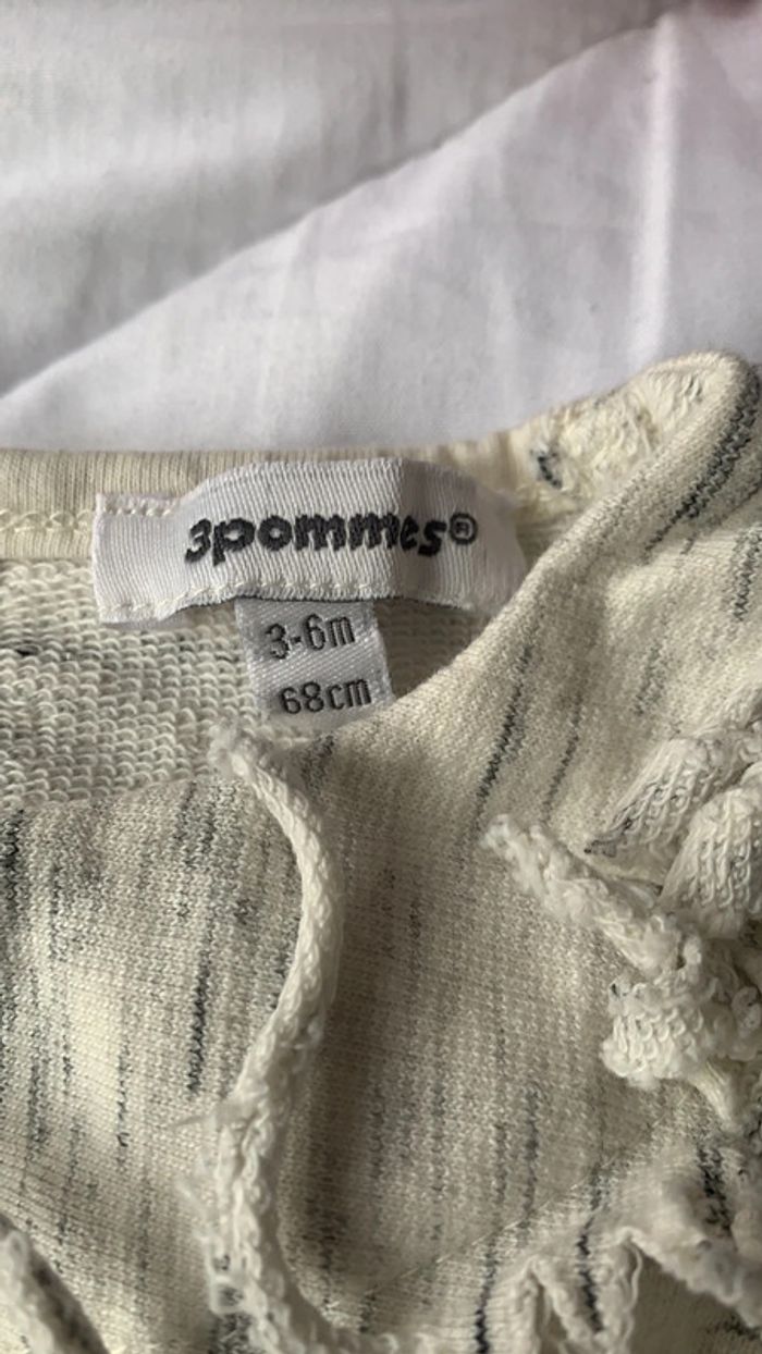 Combinaison 3 pommes - photo numéro 2