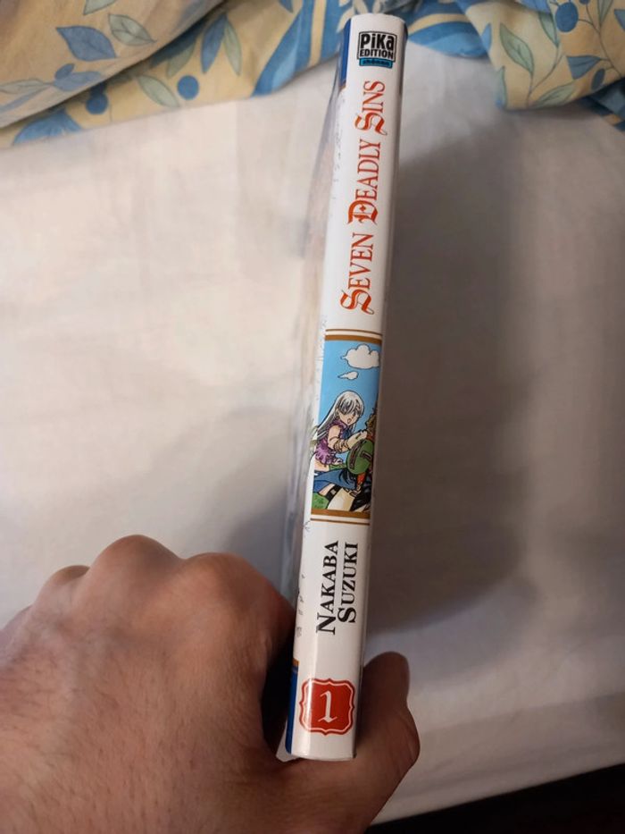 Seven Deadly Sins Tome 1 - photo numéro 7