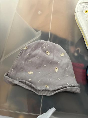 Bonnet