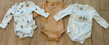 Lot 3 bodies