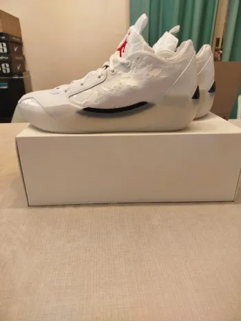 Air Jordan 39 sol
