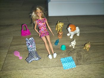 Barbie dog sitter