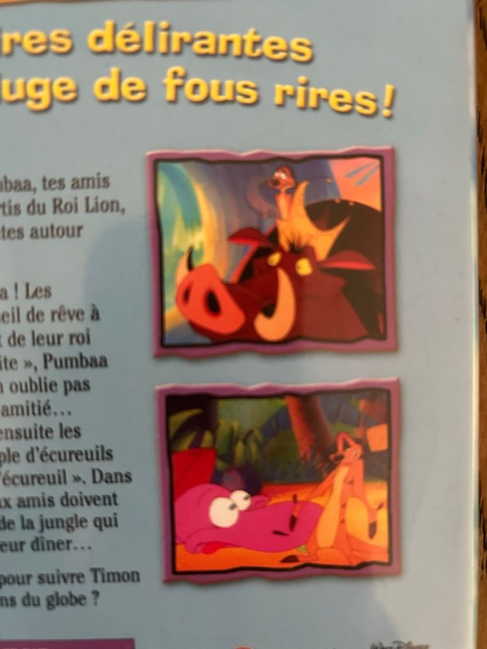 🎬 DVD Disney Timon & Pumbaa : Les Globe-Trotters - photo numéro 4