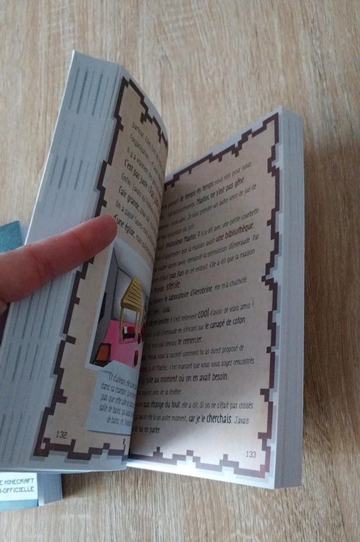 Livres minecraft - photo numéro 9