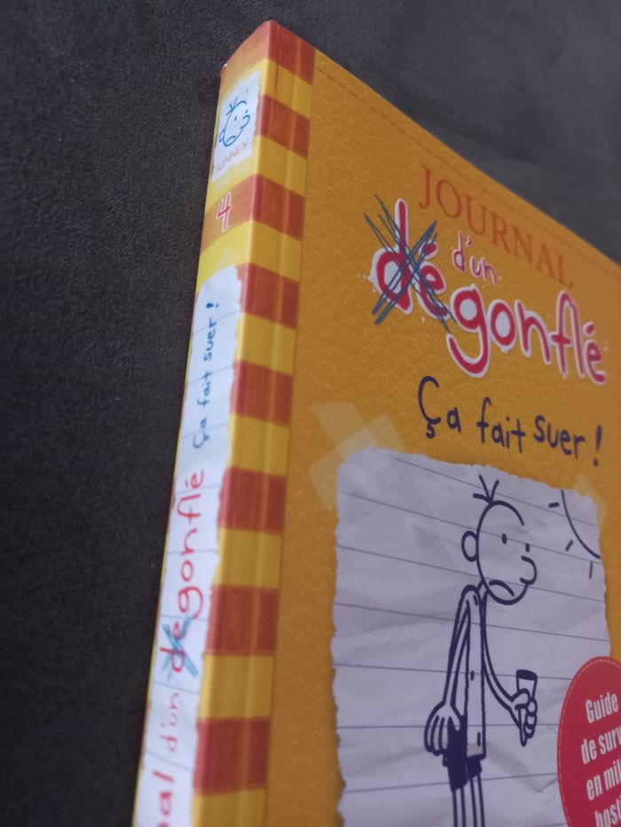 Livre roman journal d'un dégonflé tome 4 - photo numéro 3