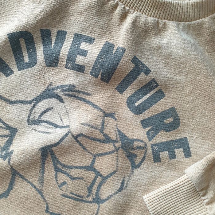 💚 Sweat 12 mois Simba Disney #emyfleury_12moisgarçon - photo numéro 2