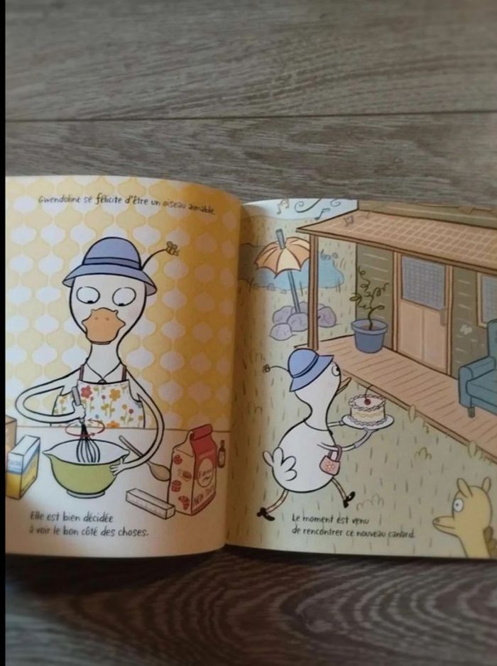 Des  canards  trop bizarres - photo numéro 4
