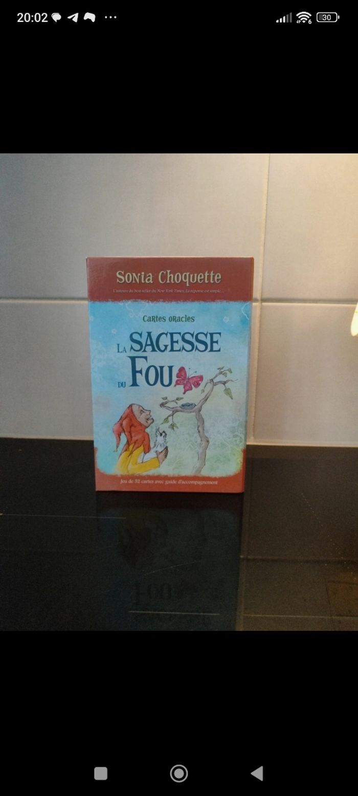 Jeu de cartes Oracles la sagesse du fou - photo numéro 2